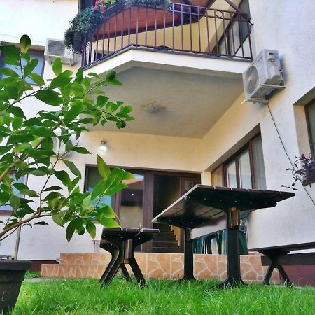 Apartmani Sunflower Sremski Karlovci Exteriér fotografie