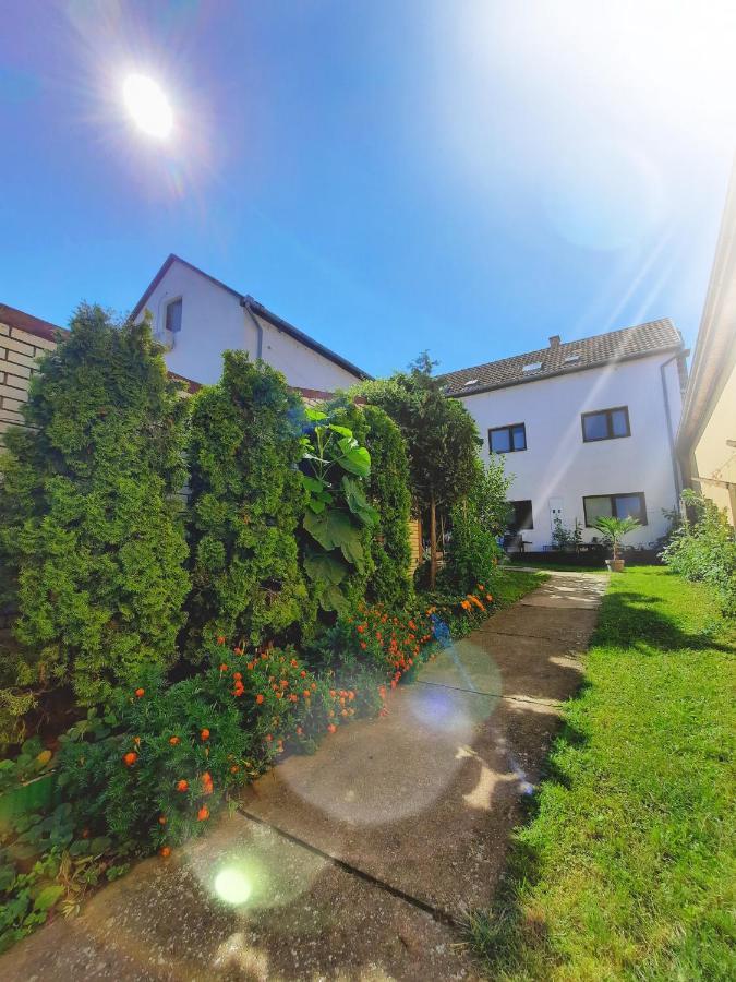 Apartmani Sunflower Sremski Karlovci Exteriér fotografie