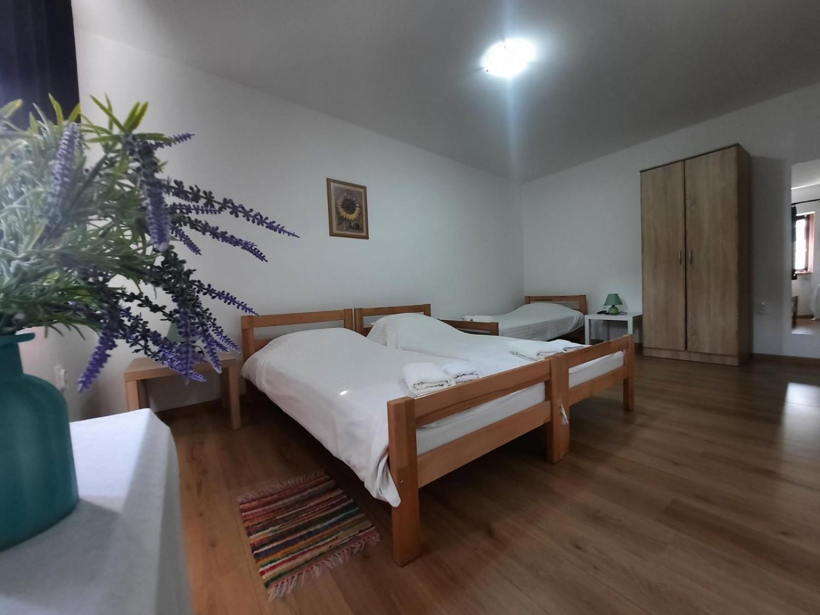 Apartmani Sunflower Sremski Karlovci Exteriér fotografie