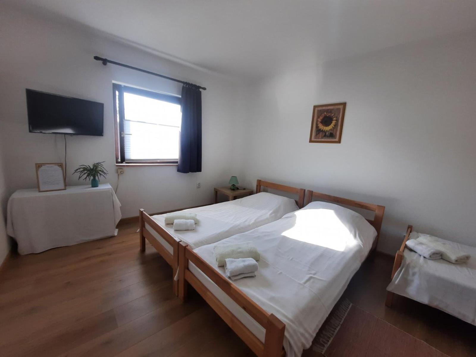 Apartmani Sunflower Sremski Karlovci Exteriér fotografie