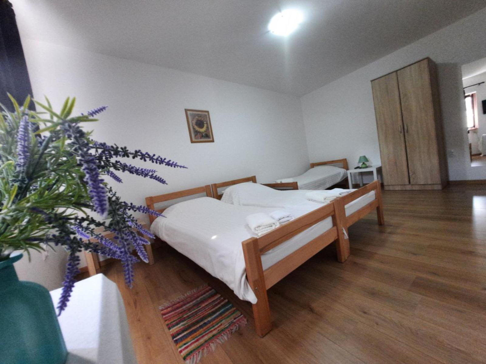 Apartmani Sunflower Sremski Karlovci Pokoj fotografie