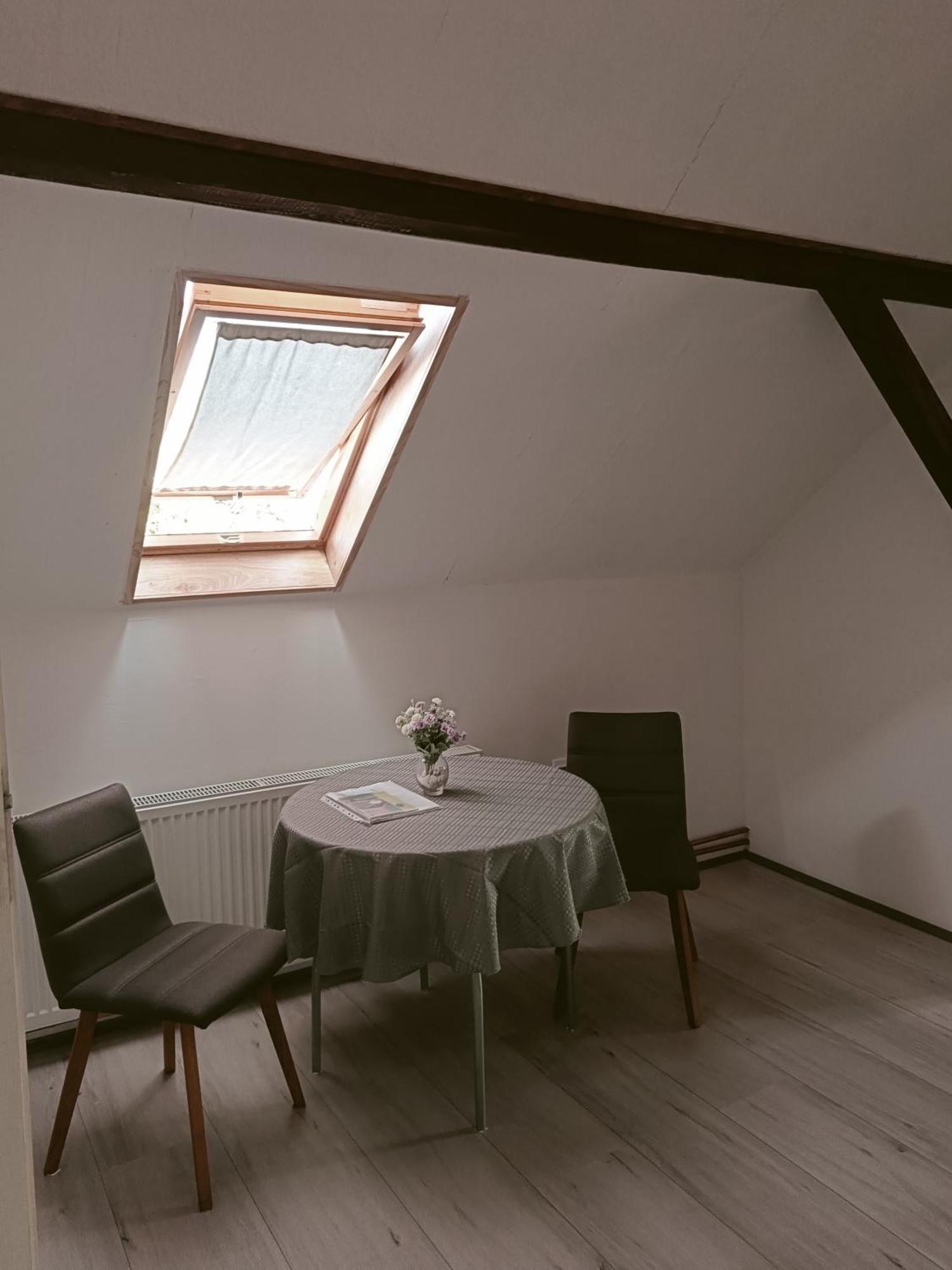 Apartmani Sunflower Sremski Karlovci Exteriér fotografie