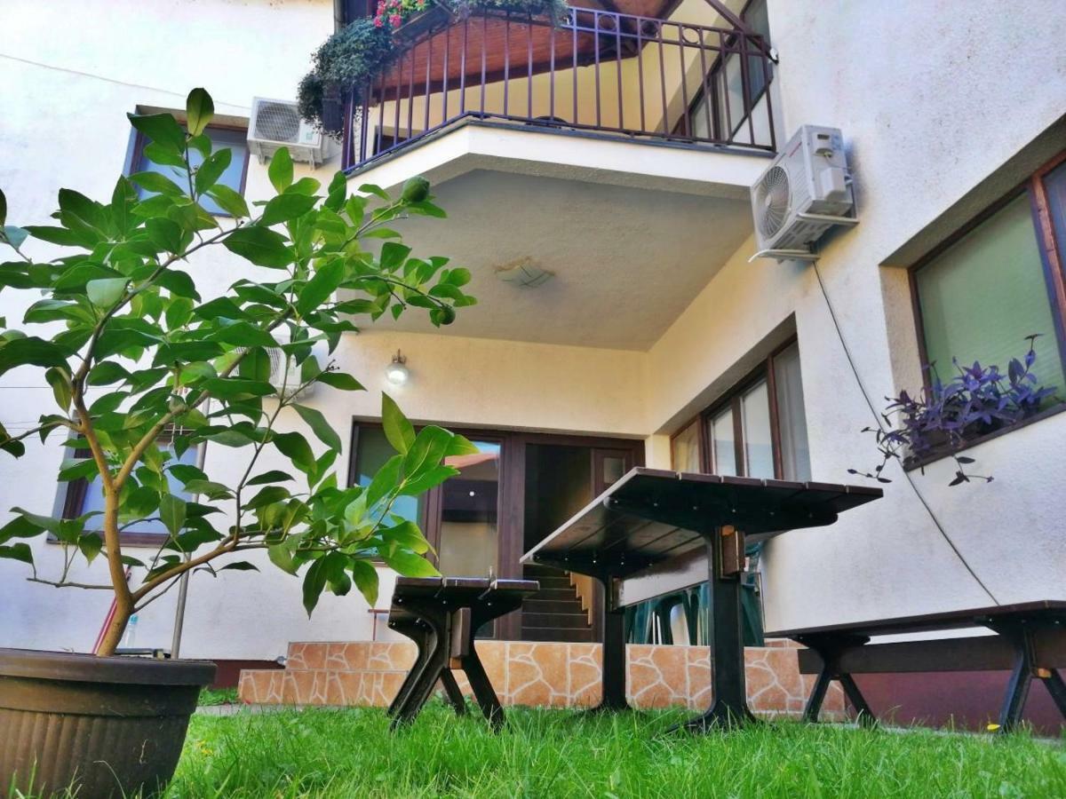 Apartmani Sunflower Sremski Karlovci Exteriér fotografie